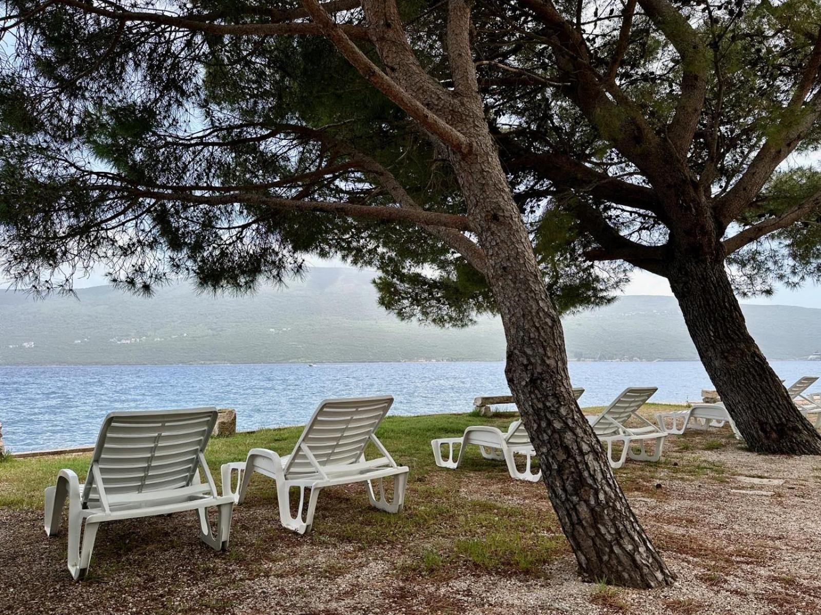 Herceg Novi Appartement Buitenkant foto